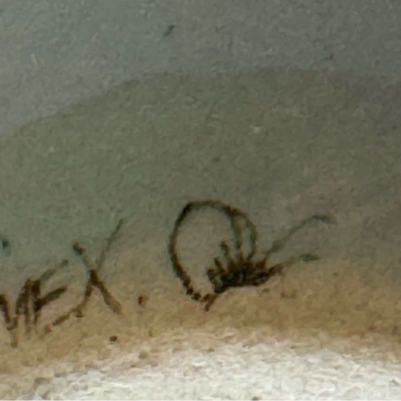 Vintage Signed Ken Edwards El Palomar Mexican Pottery Bowl - Picture 7 of 8